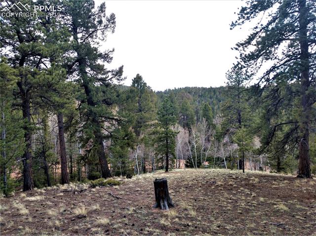 525 Cochetopa Road Florissant, CO 80816 - Photo 2 of 8 Gallery Image 2