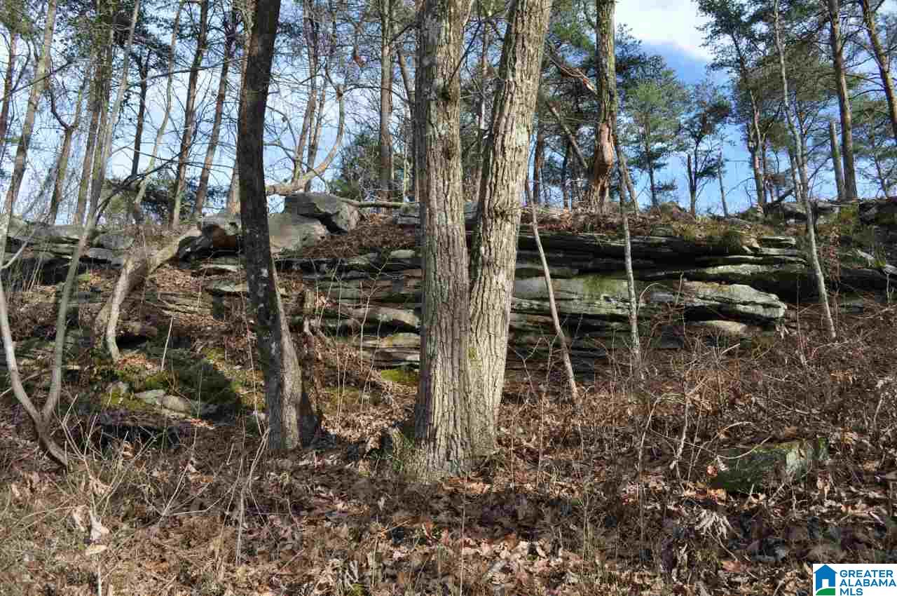 89 North County Road Mentone, AL 35984 - Photo 14 of 18