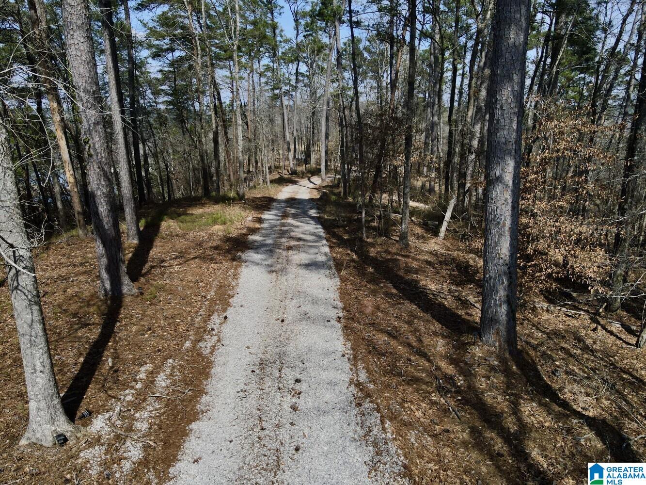219 Pine Ridge Road, Unit 1 Bessemer, AL 35023 - Photo 40 of 46