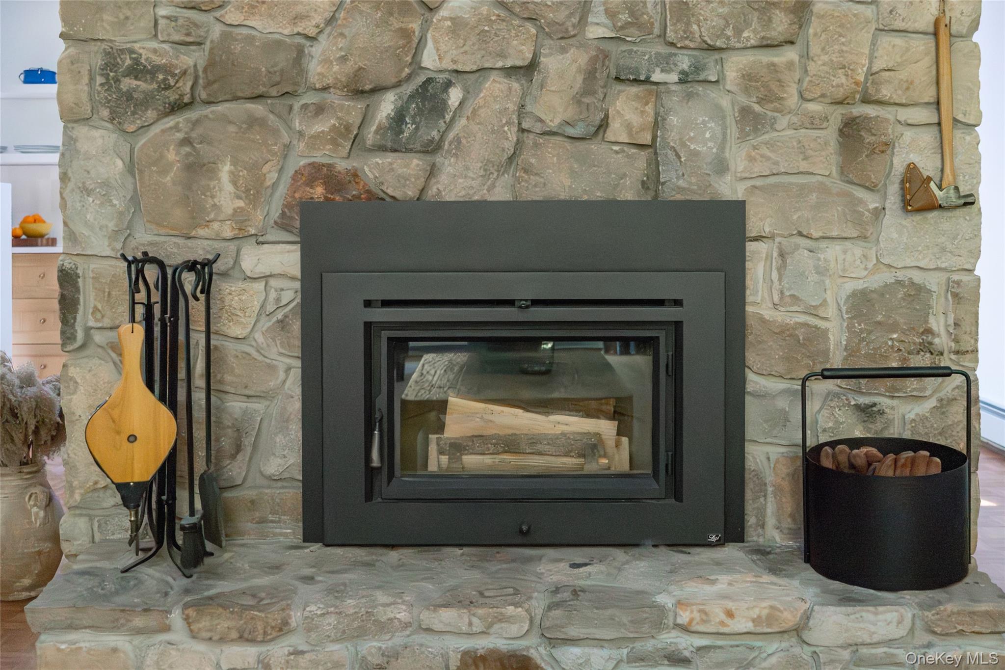 15 Deer Meadow Road Bethel, NY 12720 - Photo 21 of 41 Detailed view of a glass covered fireplace