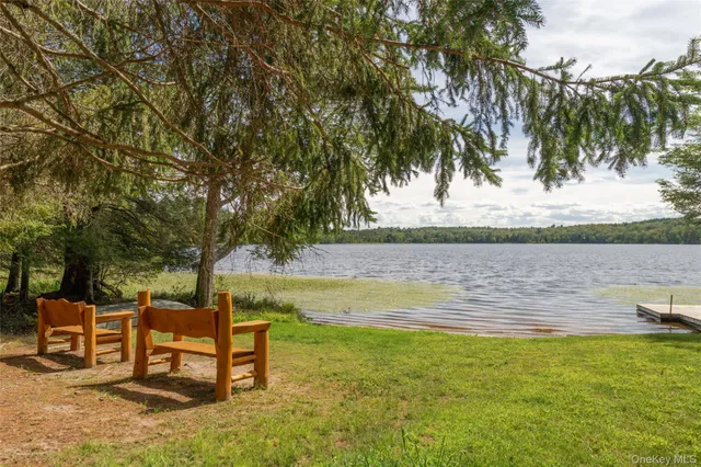 a view of a lake with houses in the back