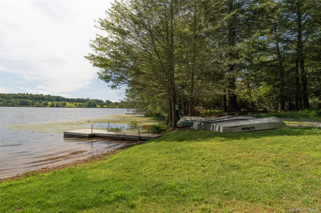 a view of a lake with houses in the back