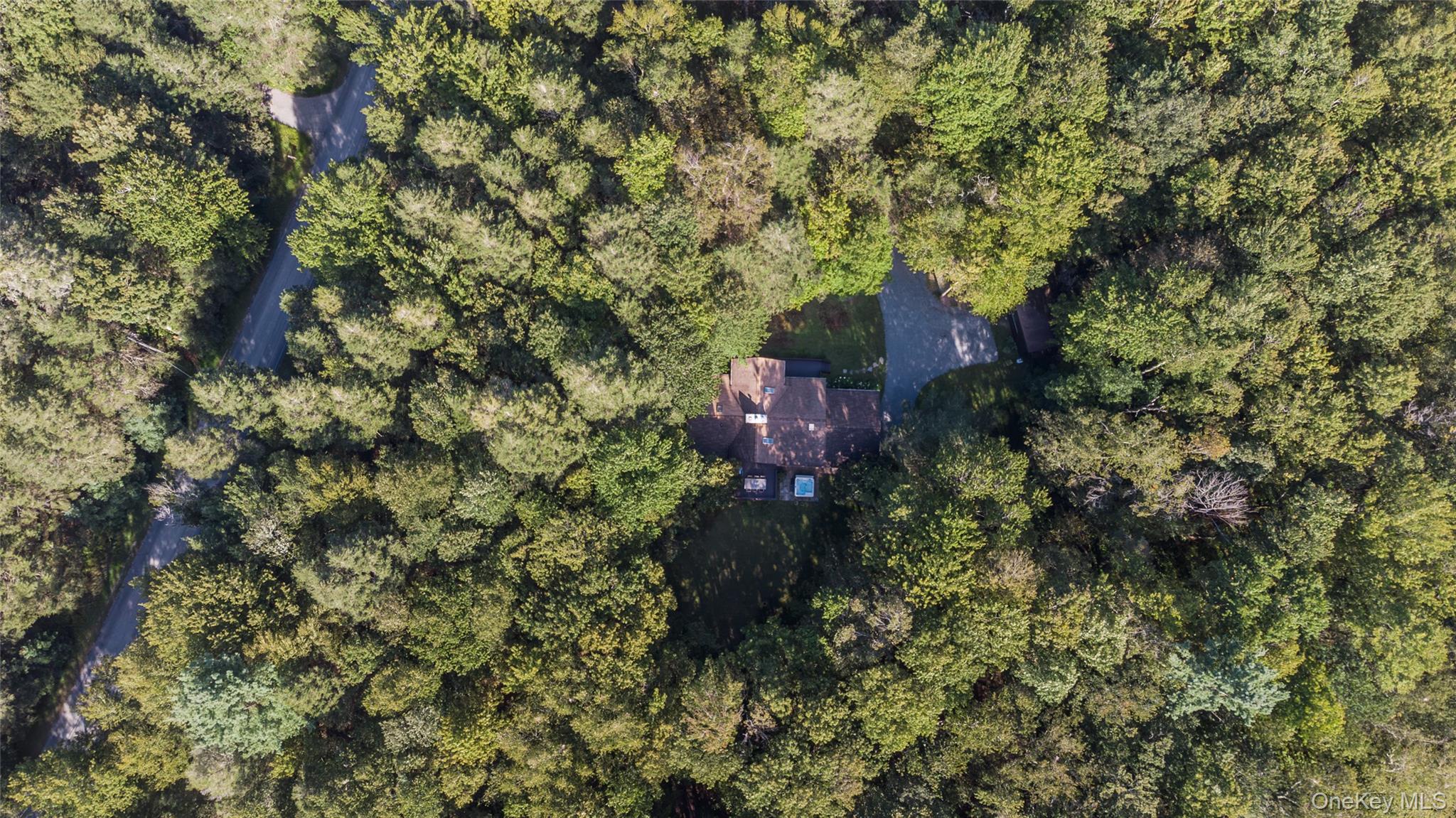 15 Deer Meadow Road Bethel, NY 12720 - Photo 41 of 41 Aerial view of property's location featuring a forest