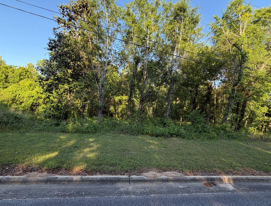 0 Old Mill Run Dothan, AL 36303 - Photo 1 of 2
