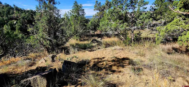 a view of outdoor space