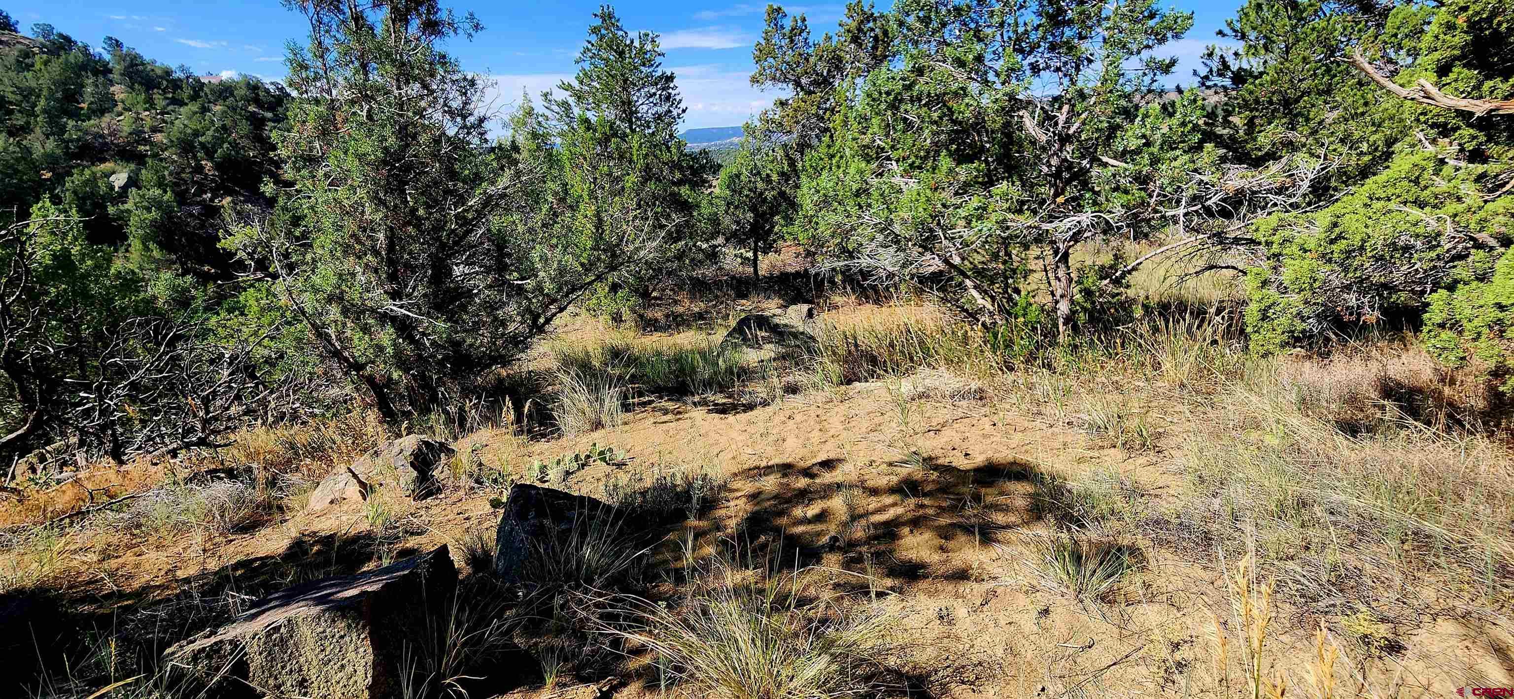 942 Rainbow Road Durango, CO 81303 - Photo 12 of 15 a view of outdoor space