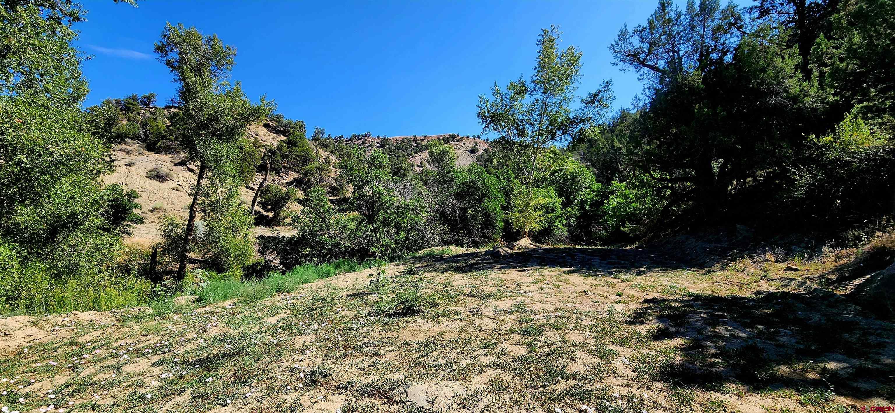 942 Rainbow Road Durango, CO 81303 - Photo 13 of 15 a view of a yard with a tree