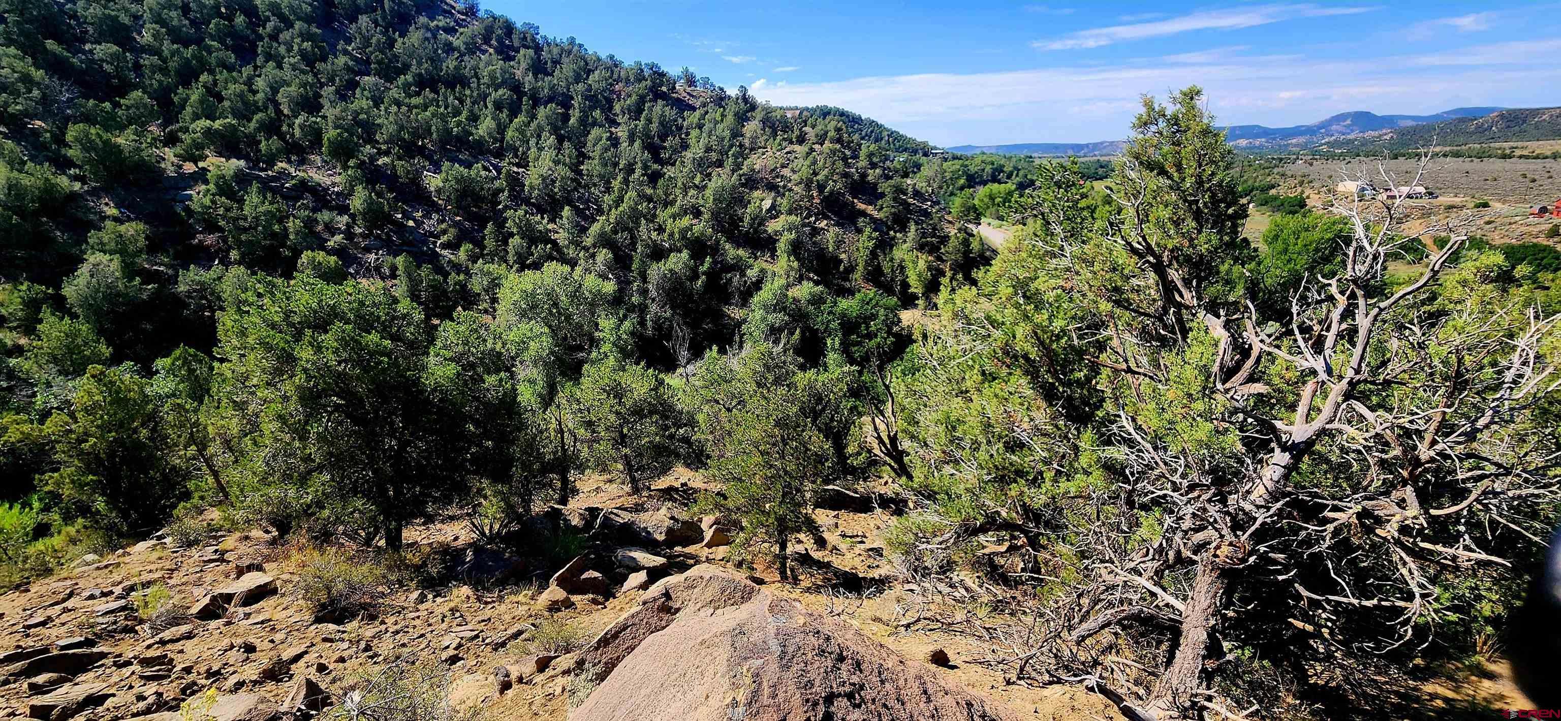 942 Rainbow Road Durango, CO 81303 - Photo 15 of 15 a view of a yard with plants and a mountain view in the background