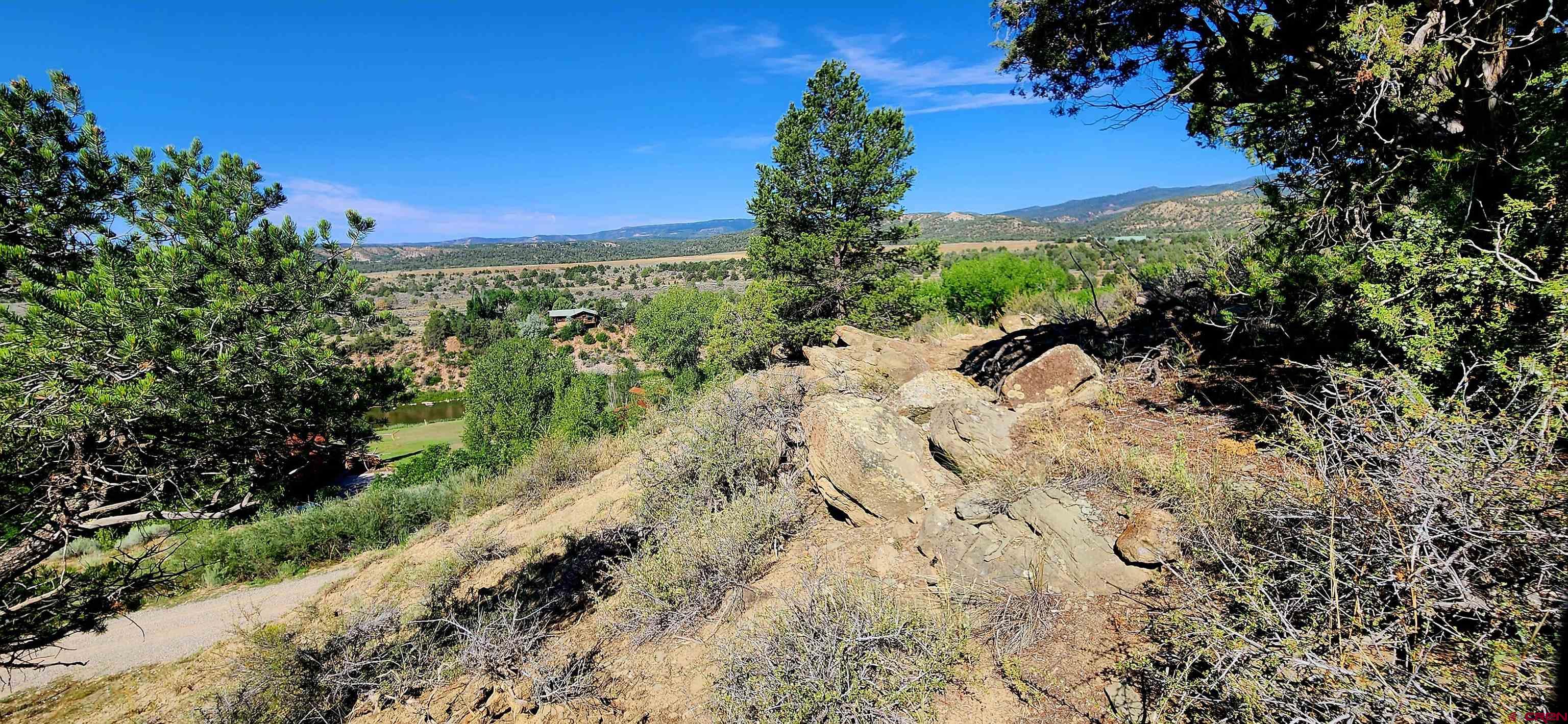 942 Rainbow Road Durango, CO 81303 - Photo 3 of 15 a view of a yard with plants and tree