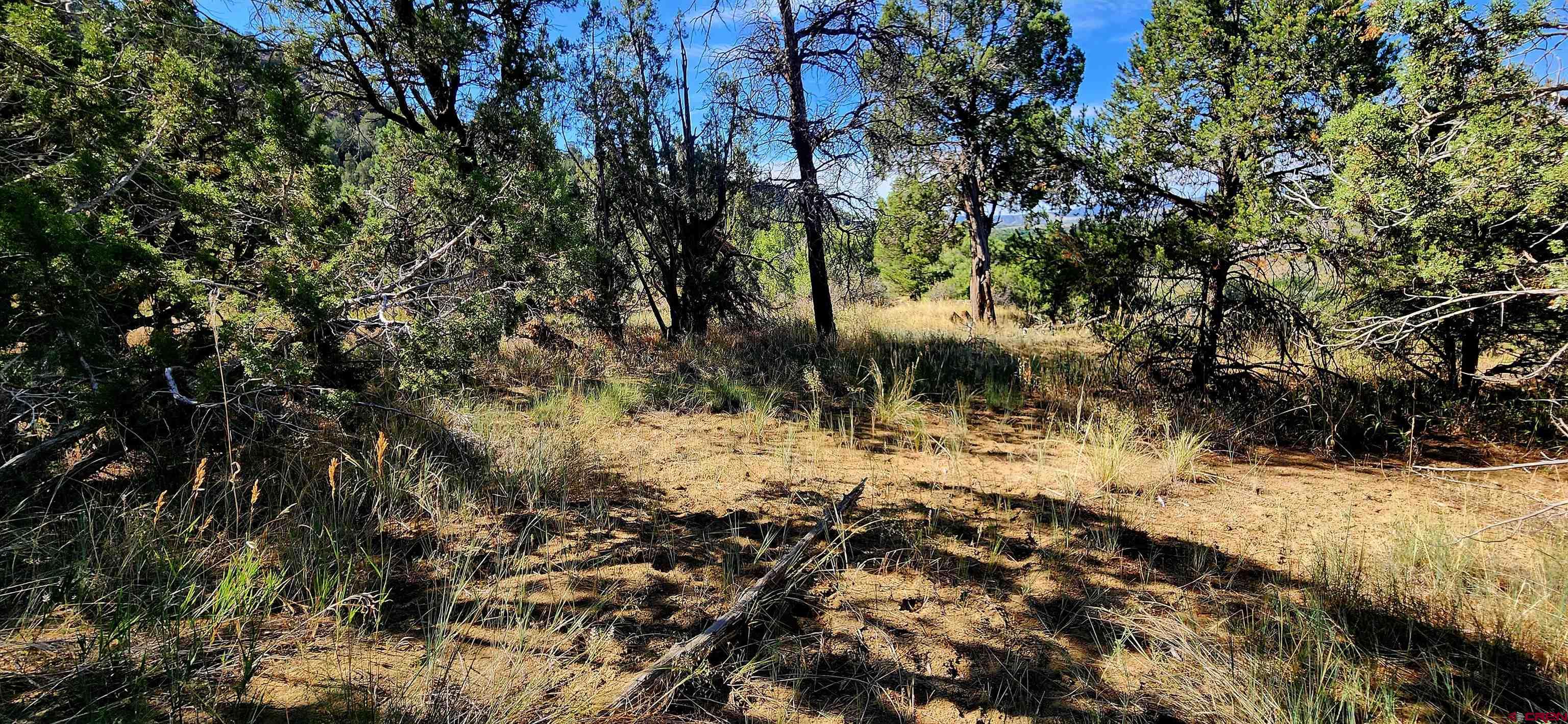 942 Rainbow Road Durango, CO 81303 - Photo 6 of 15 a view of a yard covered in snow