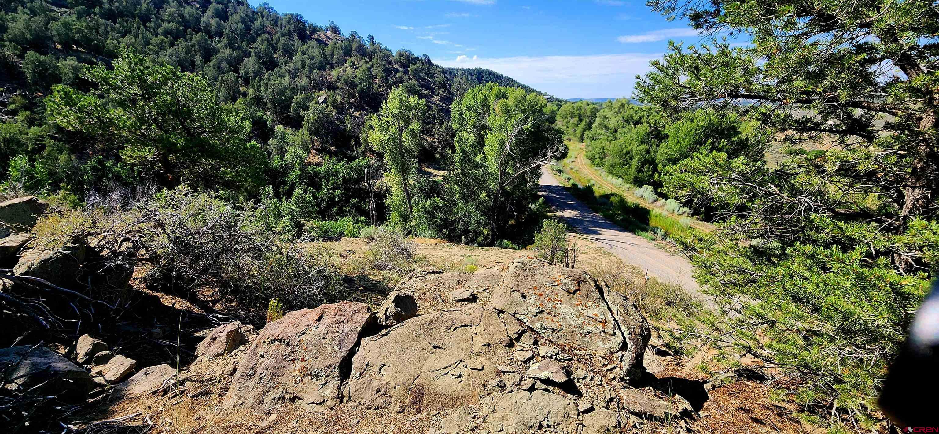942 Rainbow Road Durango, CO 81303 - Photo 7 of 15 a view of a yard with plants and tree