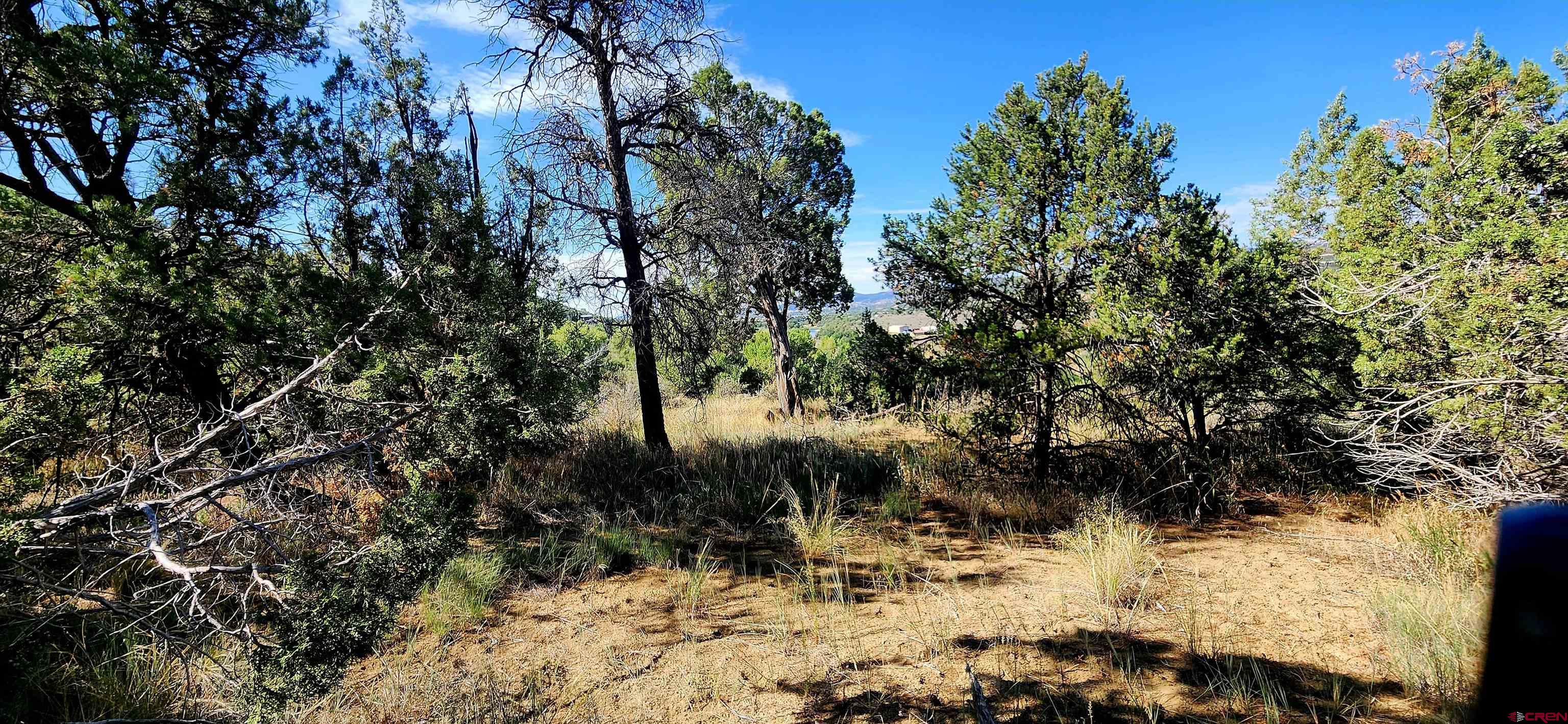 942 Rainbow Road Durango, CO 81303 - Photo 8 of 15 a view of a snow of trees