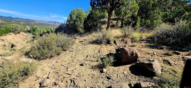 a view of a backyard of the house