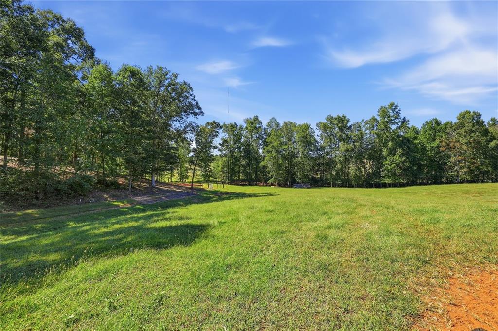 1133 Ricky West Road Cleveland, GA 30528 - Photo 56 of 66 Gallery Image 56