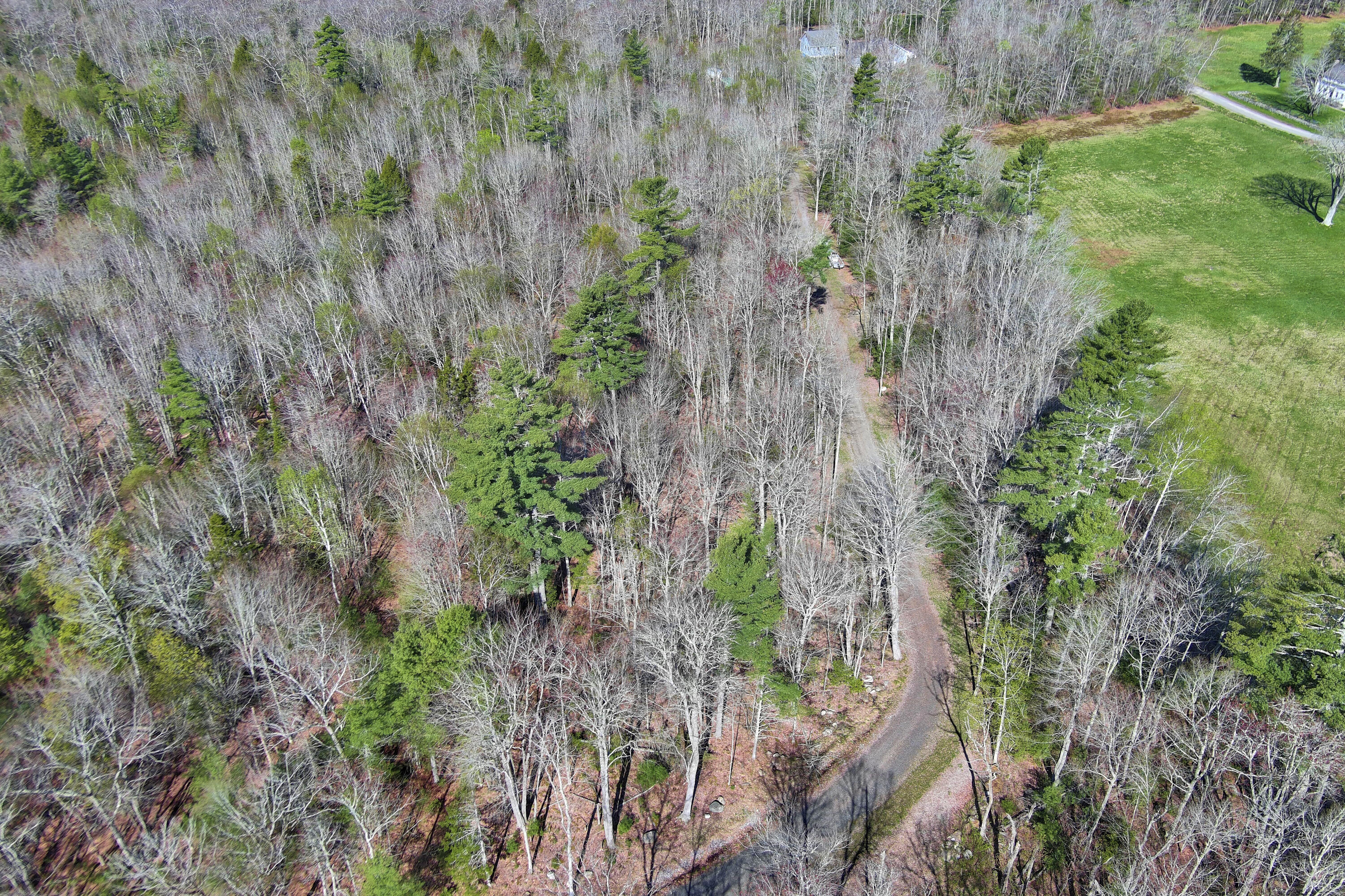 18 Dragonfly Lane Hope, ME 04847 - Photo 11 of 31 17- 18 Dragonfly Lane- Hope - JAC