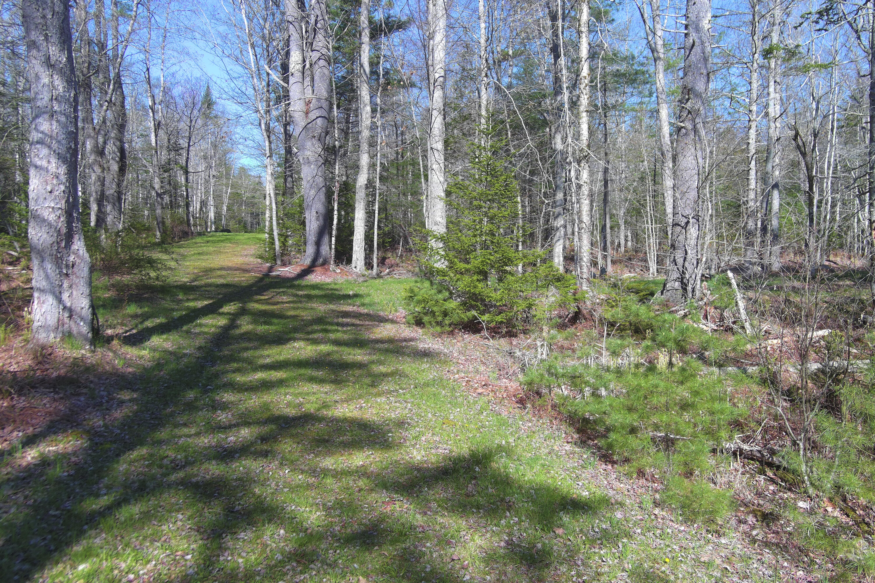 18 Dragonfly Lane Hope, ME 04847 - Photo 16 of 31 24- 18 Dragonfly Lane- Hope - JAC