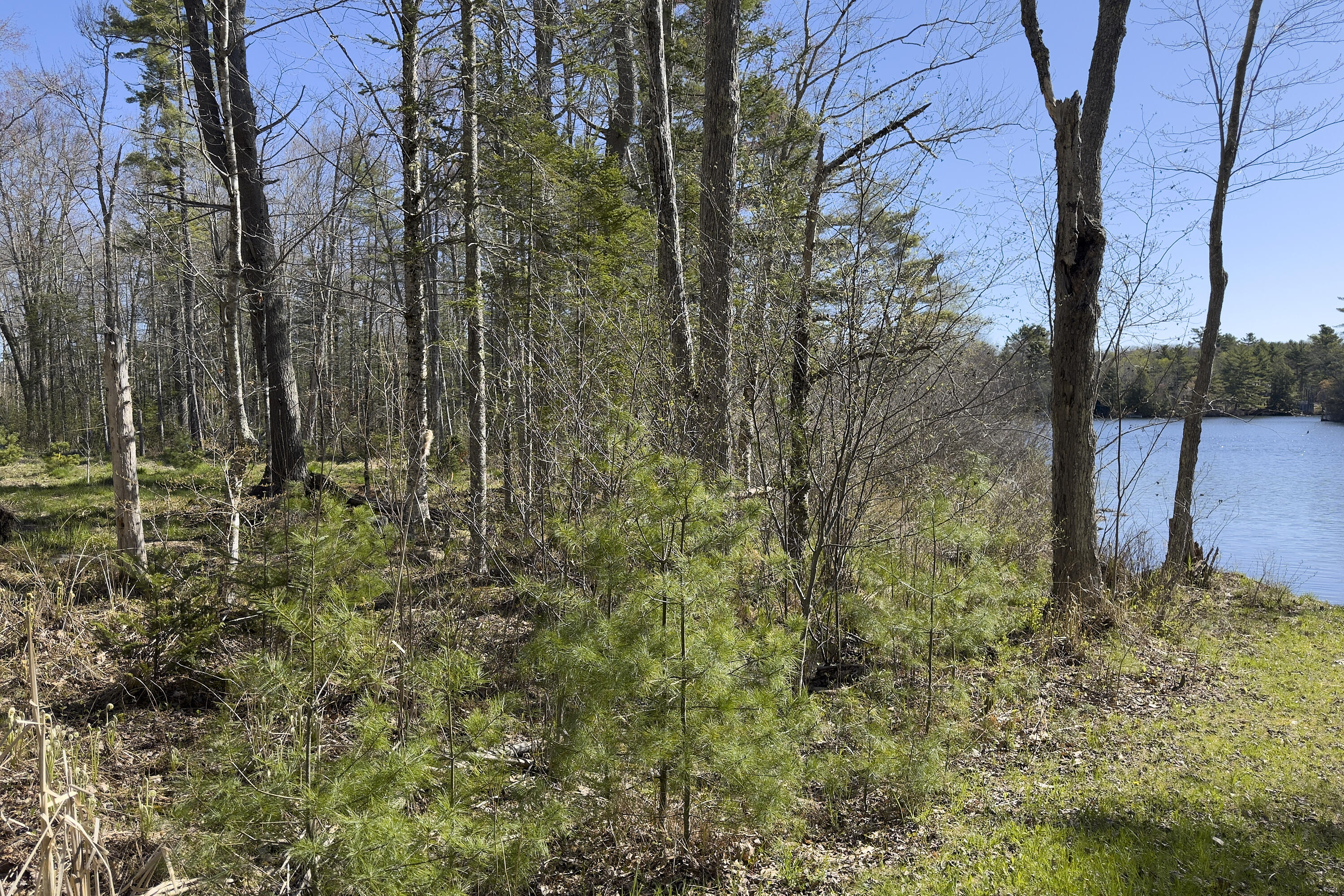 18 Dragonfly Lane Hope, ME 04847 - Photo 19 of 31 25- 18 Dragonfly Lane- Hope - JAC