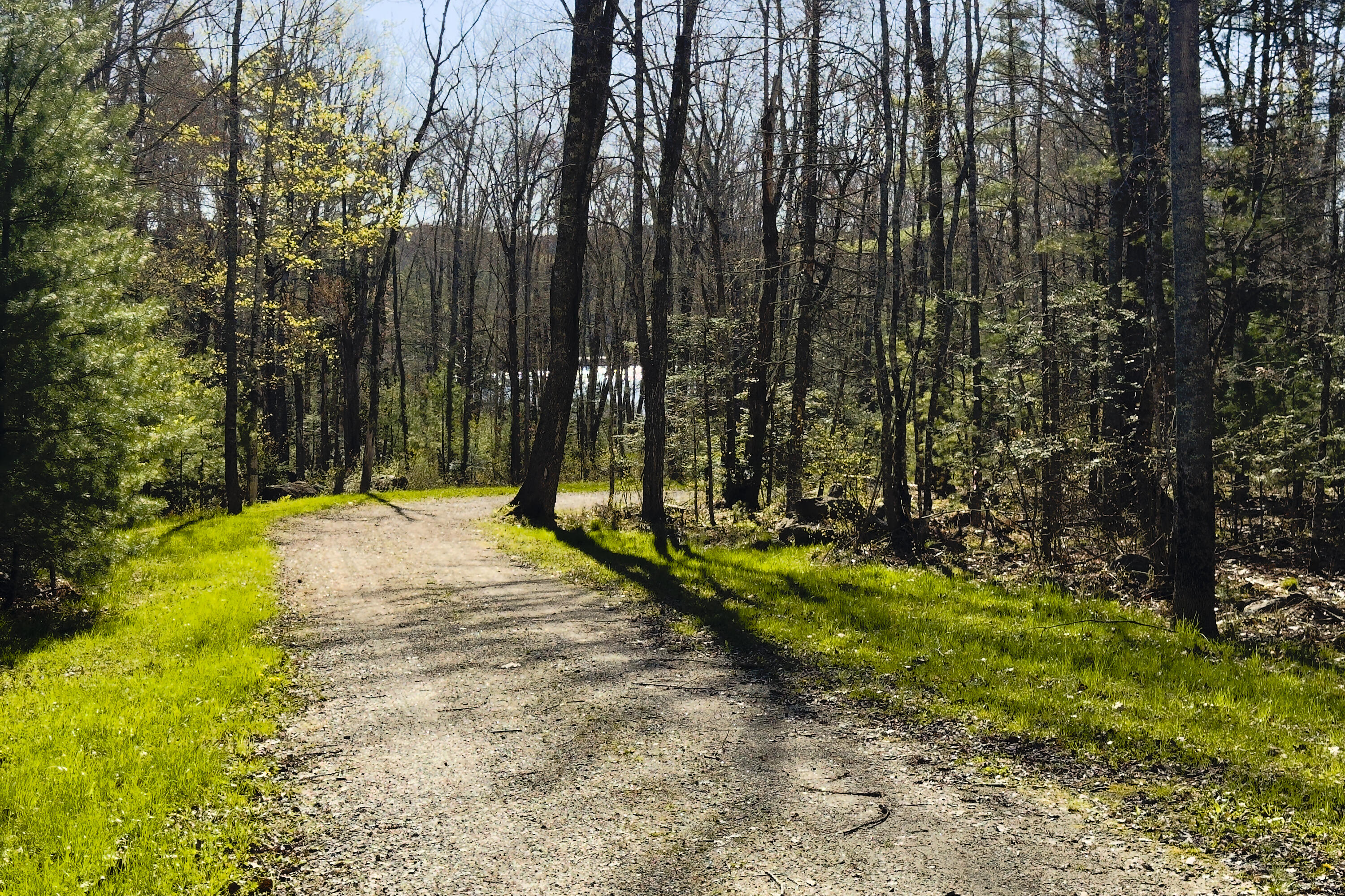 18 Dragonfly Lane Hope, ME 04847 - Photo 29 of 31 01- 18 Dragonfly Lane- Hope - JAC