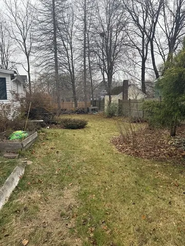 a view of a fountain with large tree
