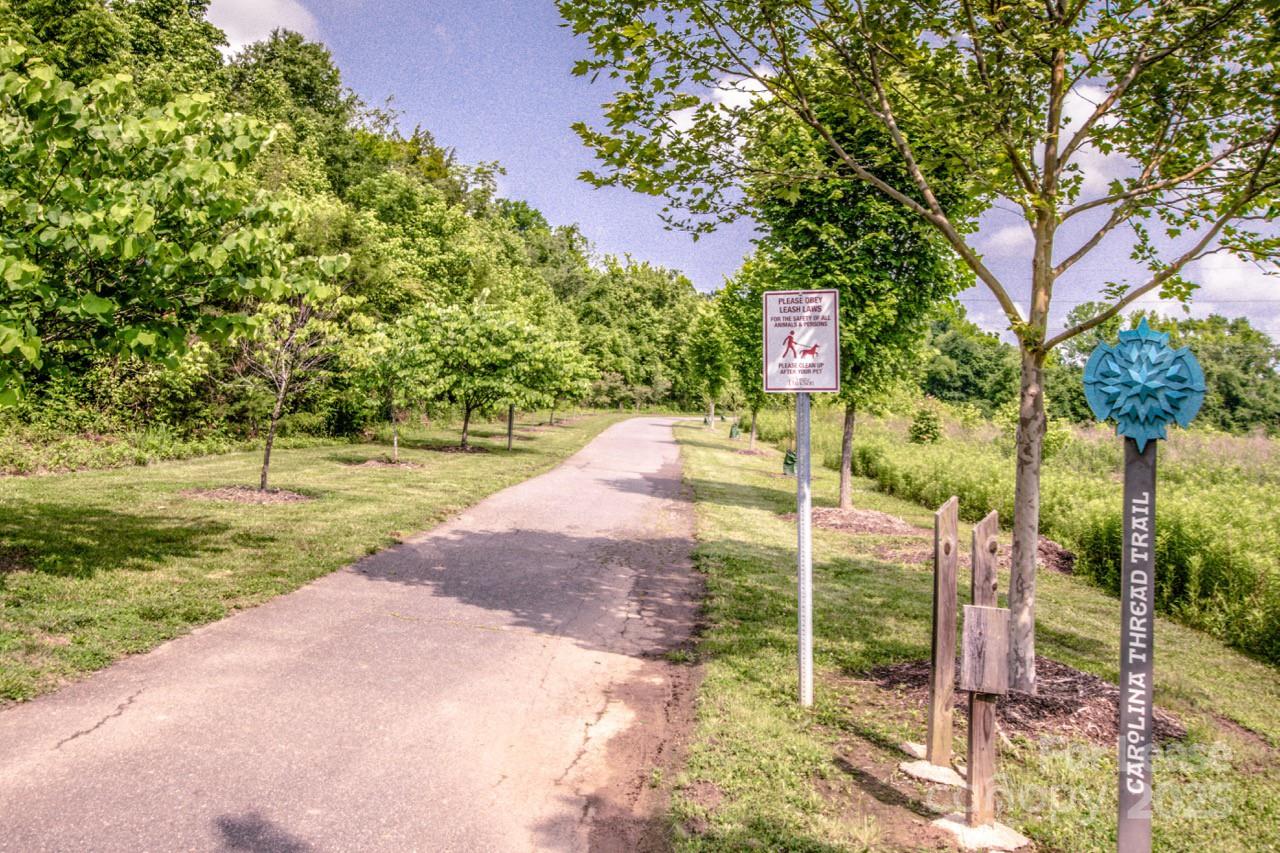 13218 Caite Ridge Road Davidson, NC 28036 - Photo 48 of 48 a view of a park with large trees