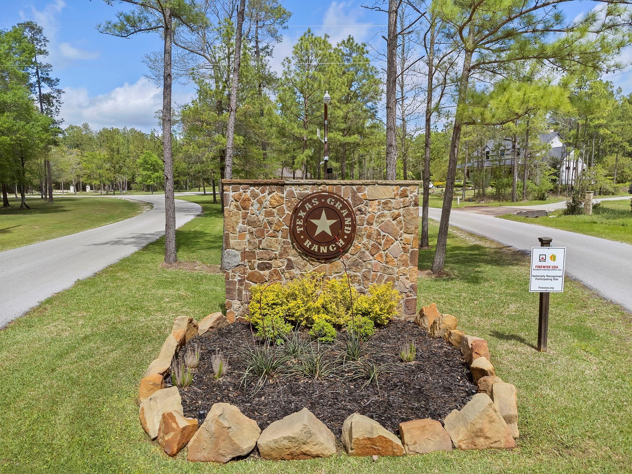 244 Remington Road Huntsville, TX 77340 - Photo 9 of 16