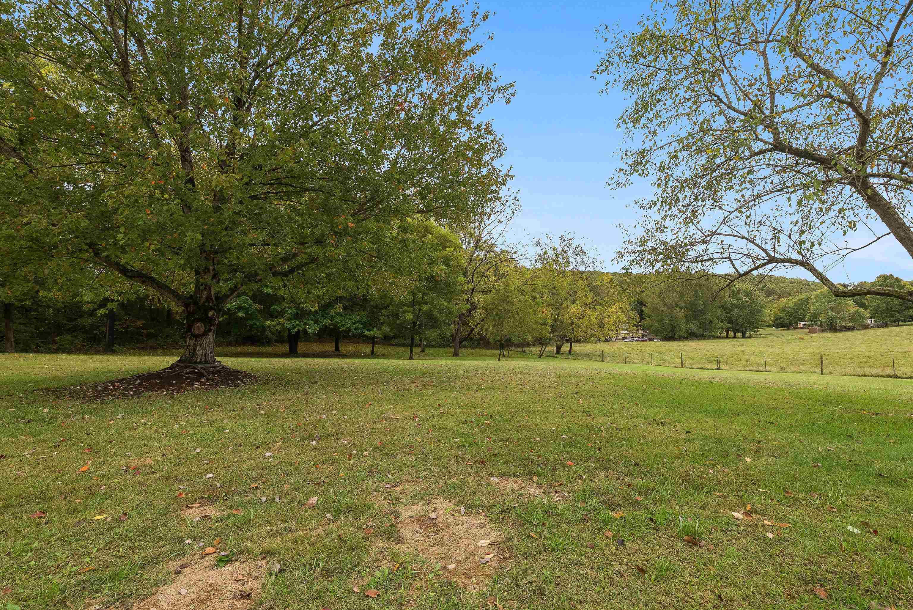598 Broadhead School Road Greenville, VA 24440 - Photo 55 of 55 a view of a field with an trees