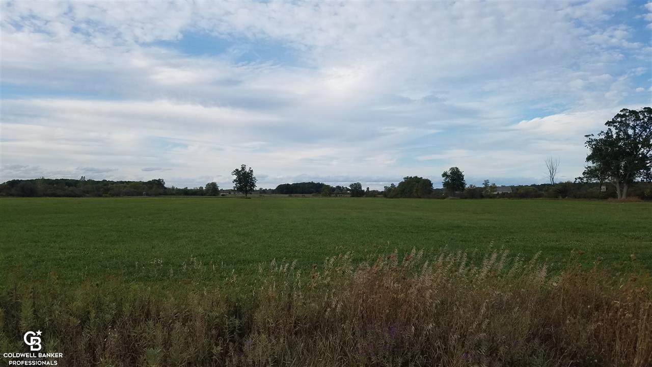 A-b Oatman Parc Avoca, MI 48006 - Photo 4 of 11