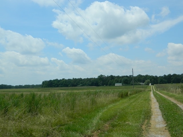 2071 State Road East, Unit A Auxvasse, MO 65231 - Photo 7 of 25