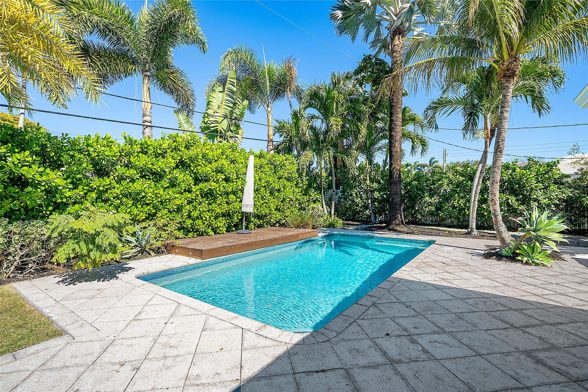 2233 Northeast 30th Court Lighthouse Point, FL 33064 - Photo 37 of 48 a view of a backyard