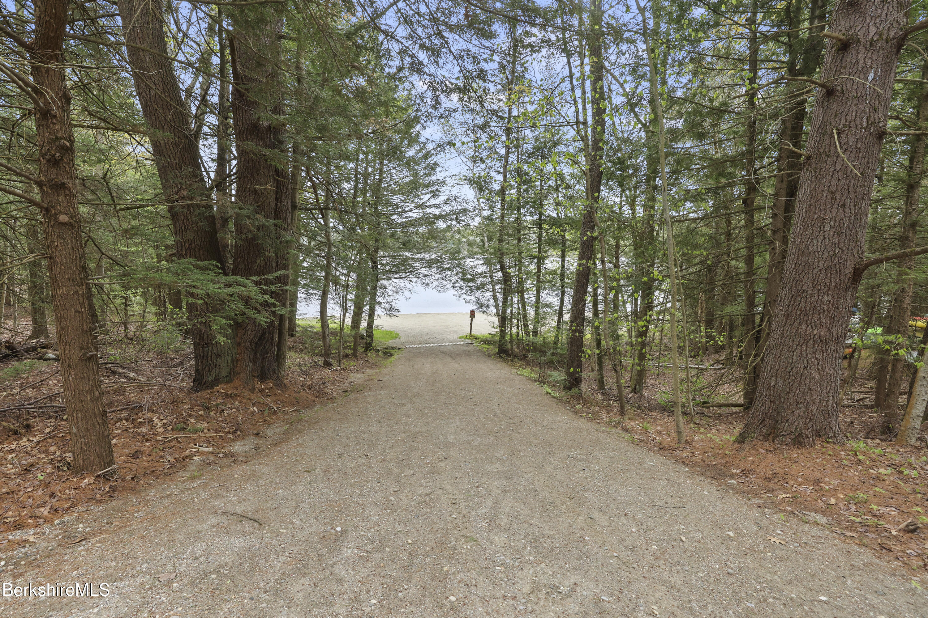 422 Bonny Rigg Hill Road Becket, MA 01223 - Photo 51 of 60 a view of a forest filled with trees