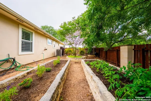 a view of a yard with a tree