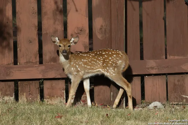 $785,000 | 100 Glen Lakes Court West, Ingram, TX 78025