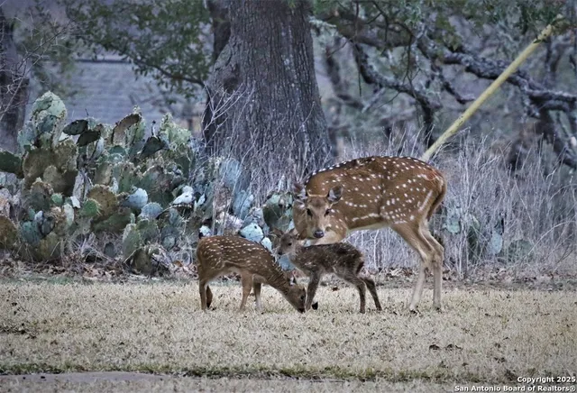 $785,000 | 100 Glen Lakes Court West, Ingram, TX 78025