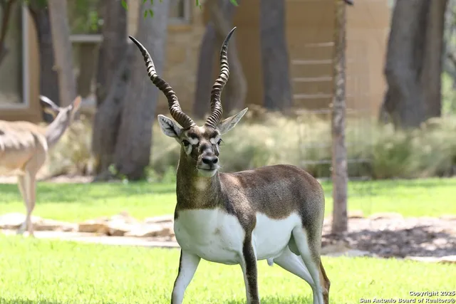 $785,000 | 100 Glen Lakes Court West, Ingram, TX 78025