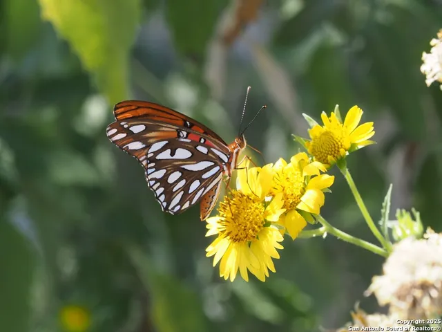 $785,000 | 100 Glen Lakes Court West, Ingram, TX 78025