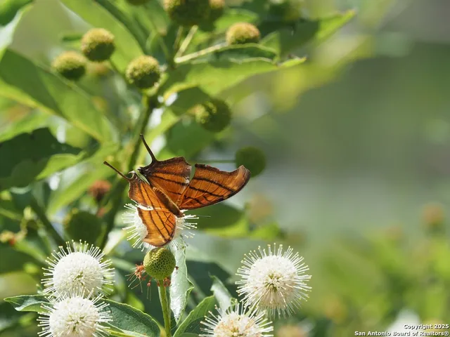 $785,000 | 100 Glen Lakes Court West, Ingram, TX 78025