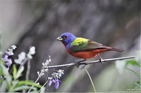 $785,000 | 100 Glen Lakes Court West, Ingram, TX 78025