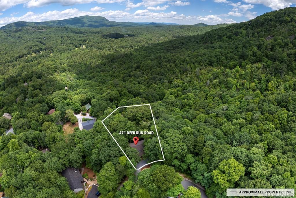 471 Deer Run Road Sapphire, NC 28774 - Photo 73 of 74 Gallery Image 73