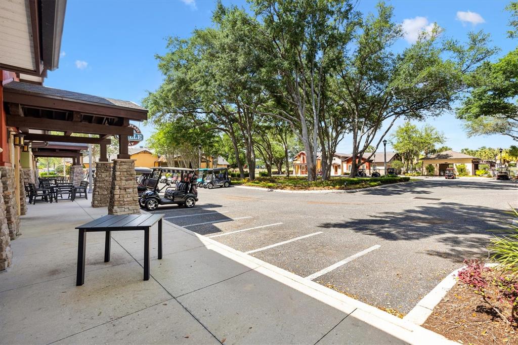 4110 Arlington Ridge Boulevard Leesburg, FL 34748 - Photo 54 of 57