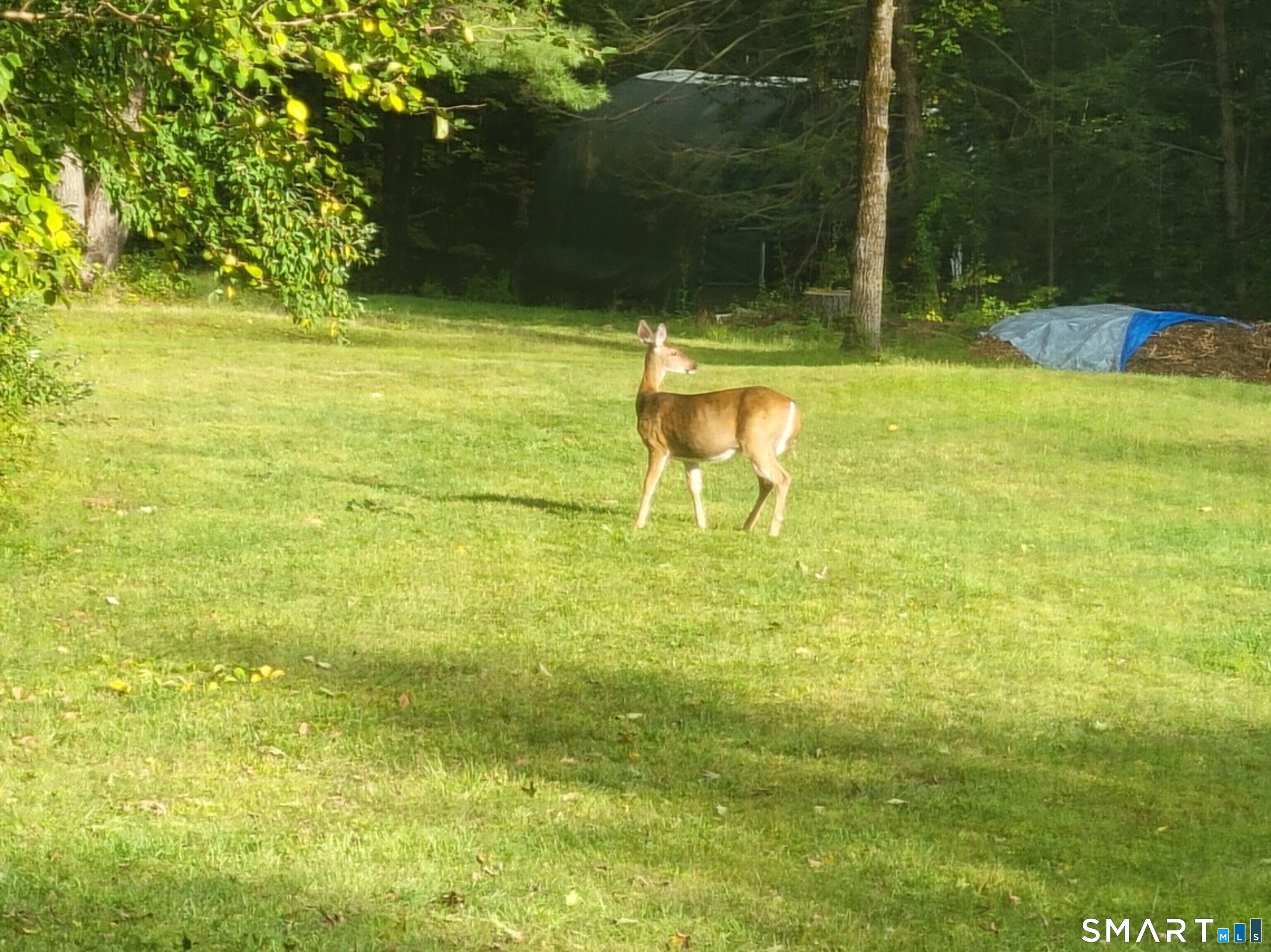 162 Spencer Hill Road Winchester, CT 06098 - Photo 29 of 36