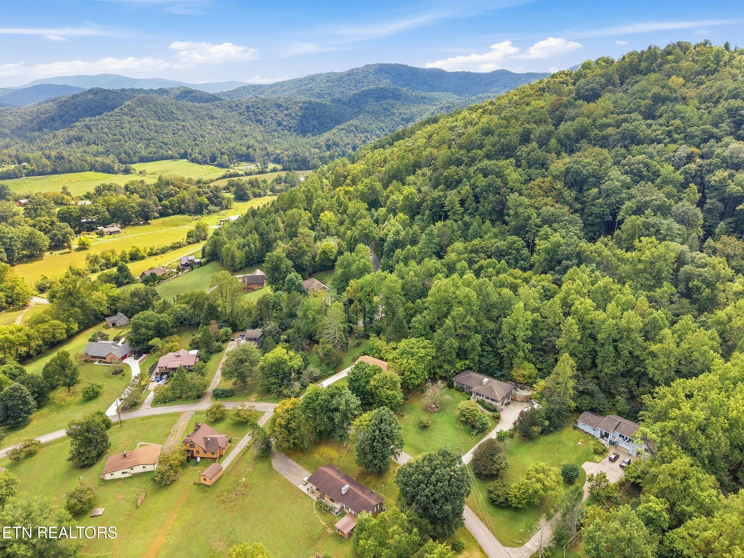 347 East Chestnut Hill Road Townsend, TN 37882 - Photo 49 of 52 19_018