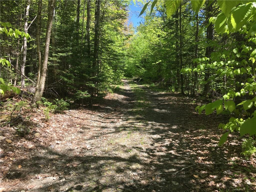 52 Black Point Road Mount Chase, ME 04765 - Photo 23 of 29 Photo
