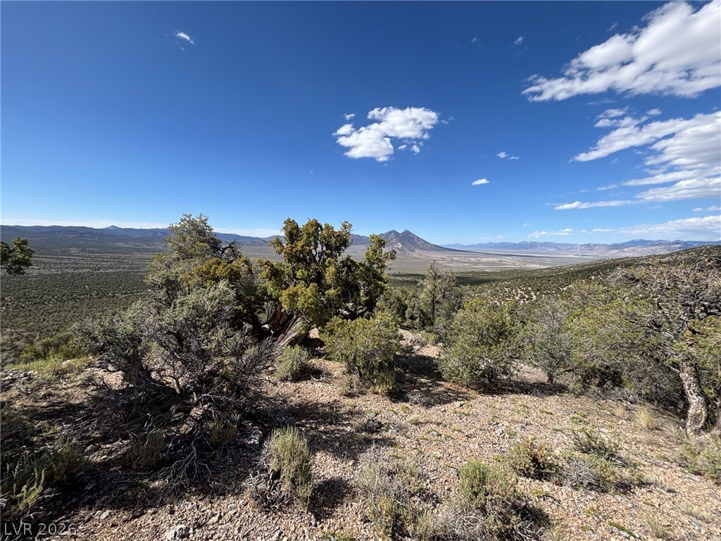 Off Of Lackawana Road Ely, NV 89301 - Photo 4 of 13 Breathtaking desert views stretch to distant mountains under an expansive blue sky.