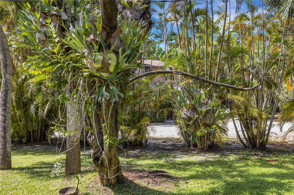 62 Sandy Hook Road South Sarasota, FL 34242 - Photo 36 of 66 a backyard of a house with table and chairs