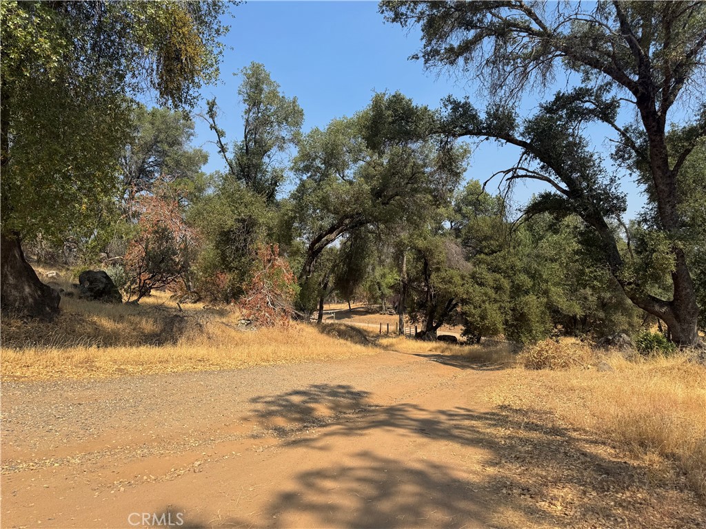 5393 Schafer Road Mariposa, CA 95338 - Photo 12 of 19