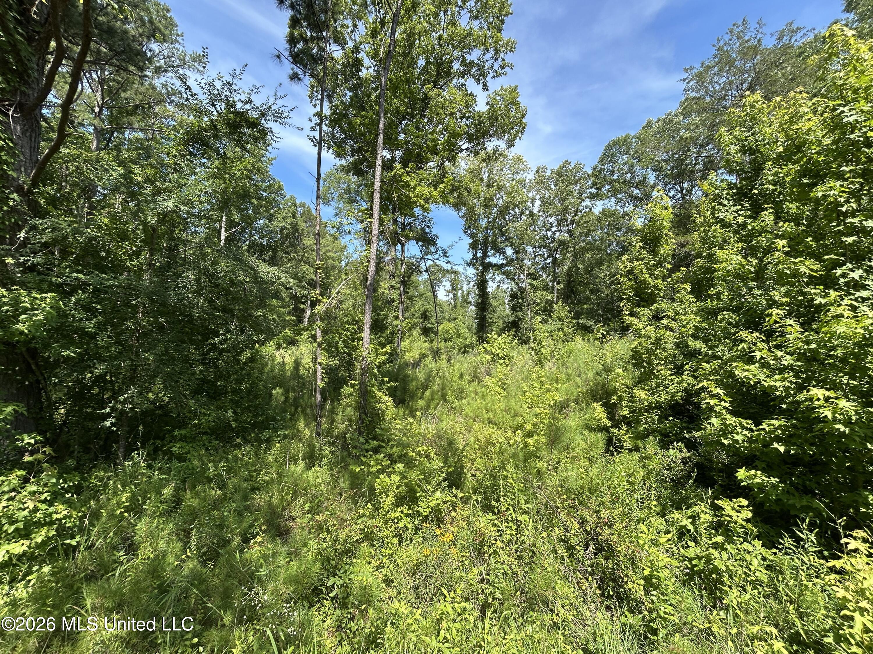 Sleepy Hollow Road Terry, MS 39170 - Photo 5 of 11 IMG_2027