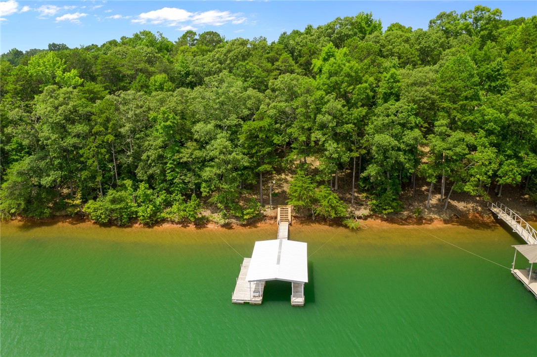 299 Hugh Dorsey Road Hartwell, GA 30643 - Photo 12 of 35 Gallery Image 12