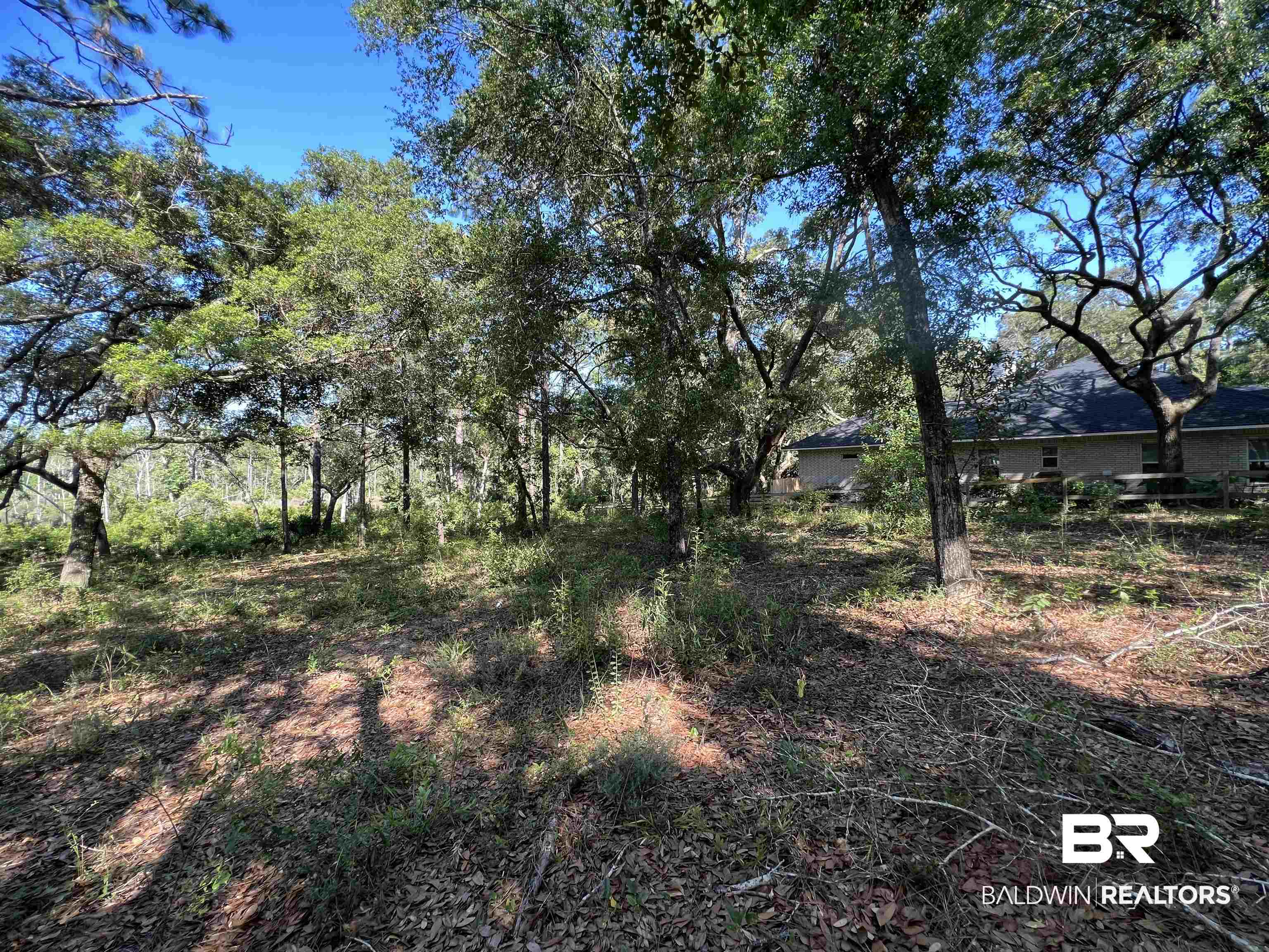 9545 North Bayou Road Lillian, AL 36549 - Photo 11 of 34 View of yard