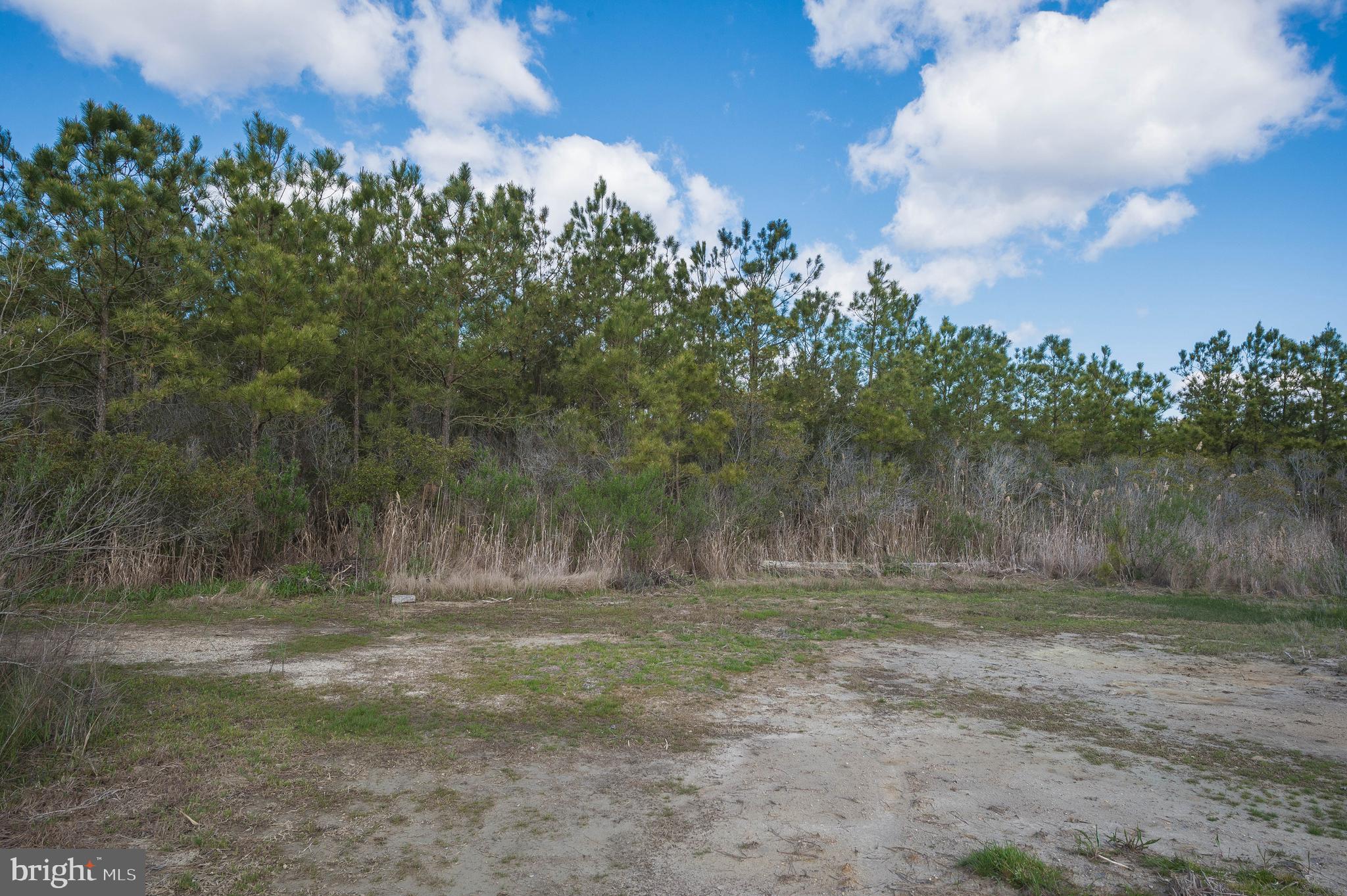 26960 Annie Hyland Road Princess Anne, MD 21853 - Photo 46 of 59 Gallery Image 46
