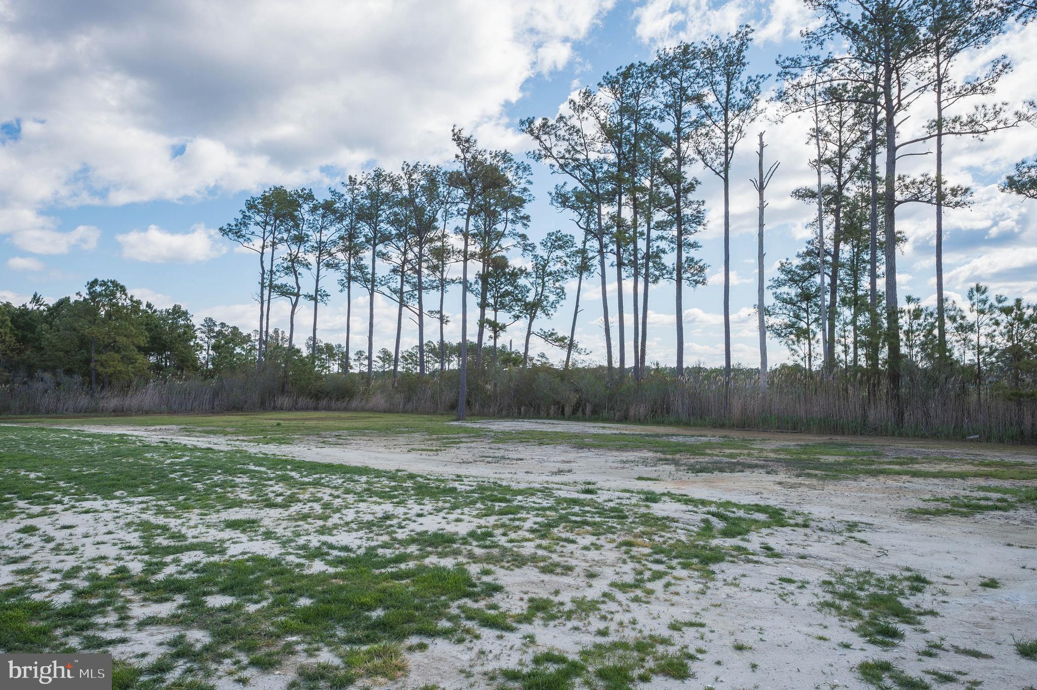 26960 Annie Hyland Road Princess Anne, MD 21853 - Photo 48 of 59 Gallery Image 48